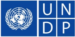 UNDP logo